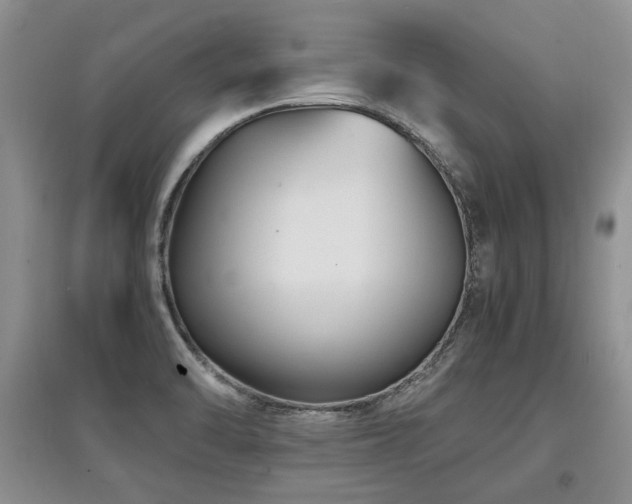 X0000097921470200803141430
