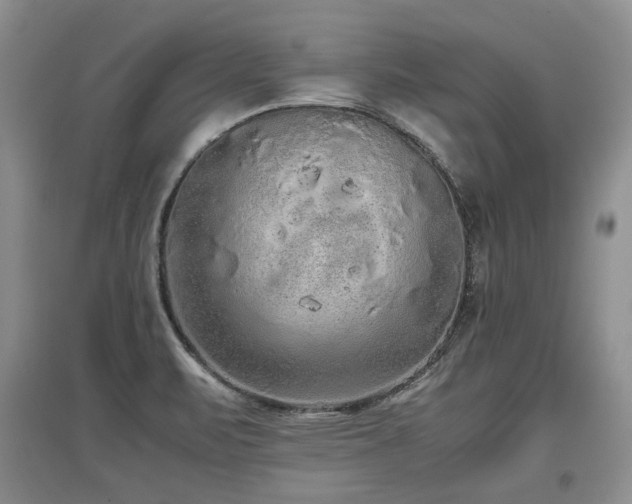 X0000097921471200803141430