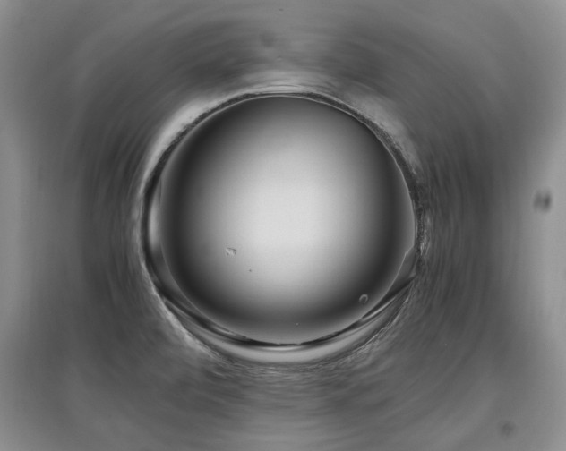 X0000097921472200803141430