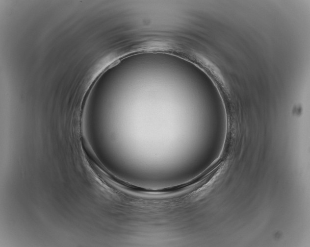 X0000097921473200803141430