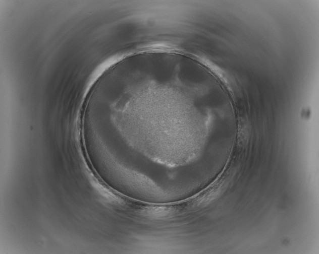 X0000097921474200803141430