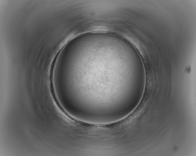 X0000097921475200803141430
