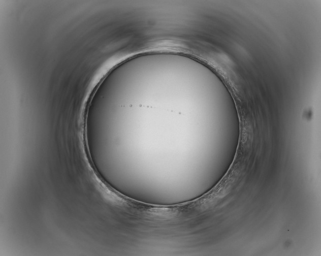 X0000097921478200803141430
