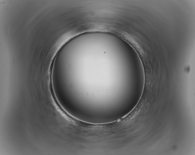 X0000097921479200803141430