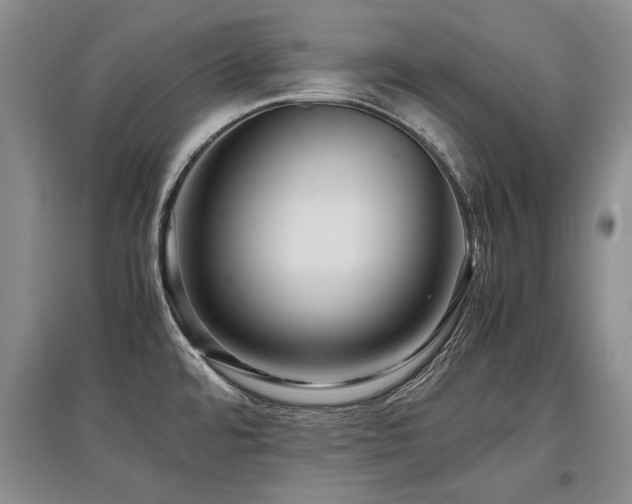 X0000097921480200803141430