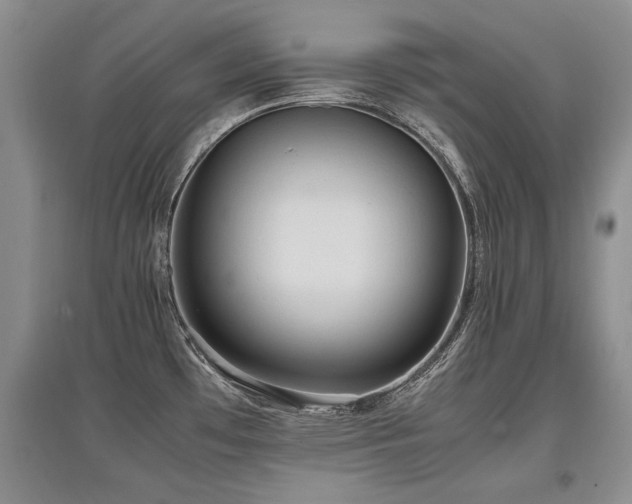X0000097921481200803141429