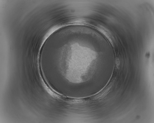 X0000097921482200803141429