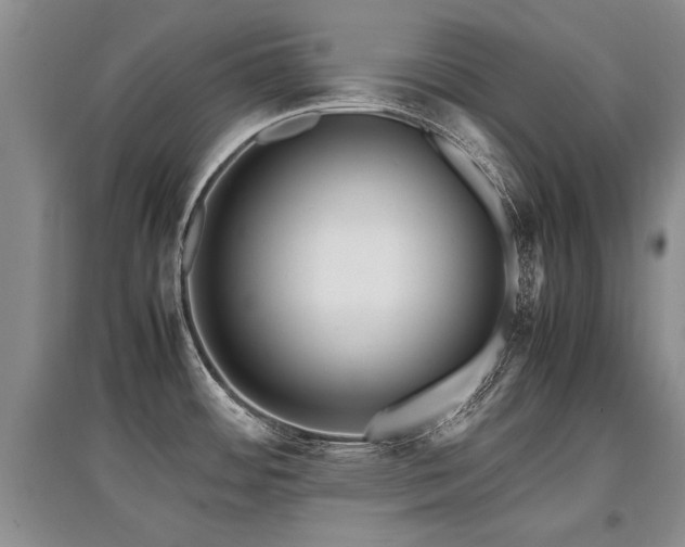 X0000097921484200803141429