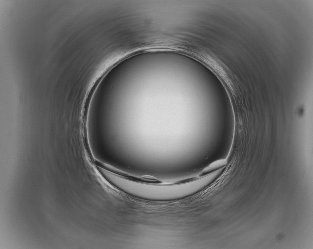 X0000097921485200803141429