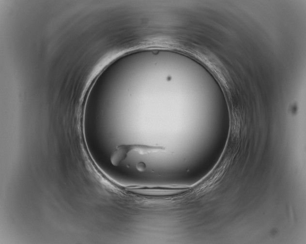X0000097921486200803141429