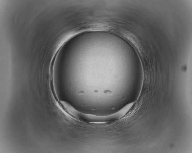 X0000097921487200803141429