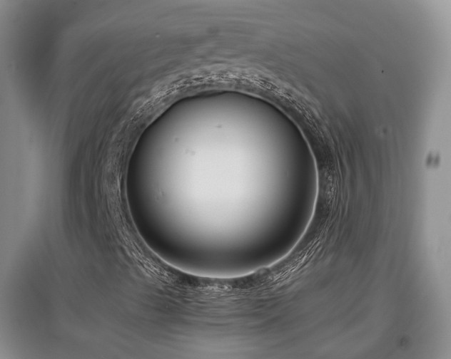 X0000097921489200803141429