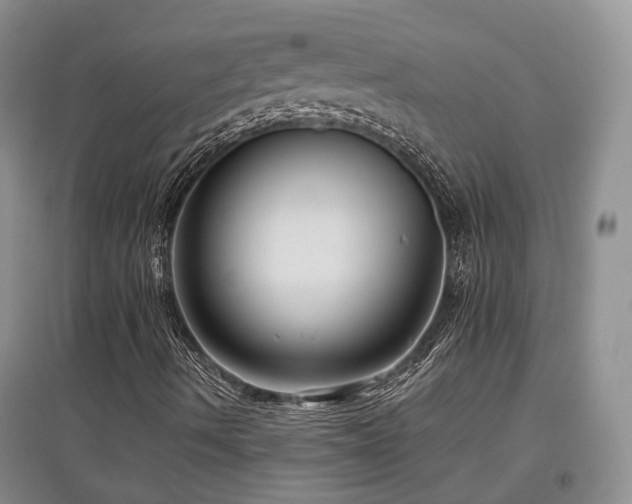 X0000097921490200803141429