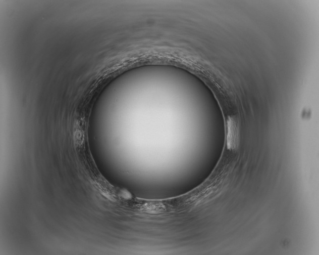 X0000097921491200803141429