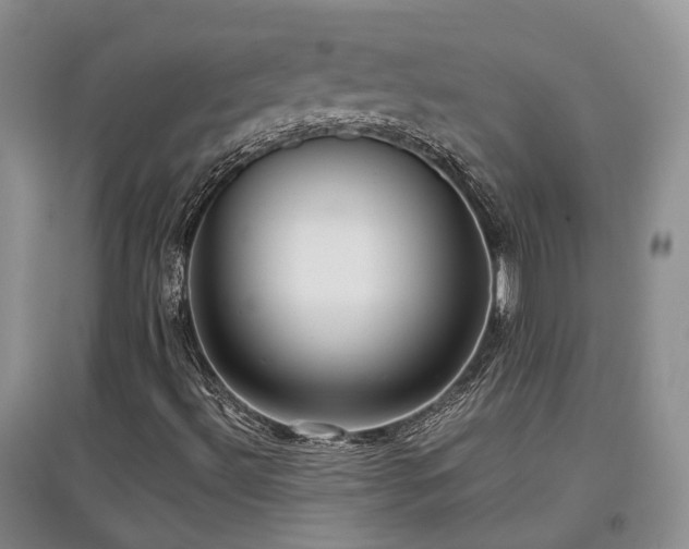 X0000097921492200803141429