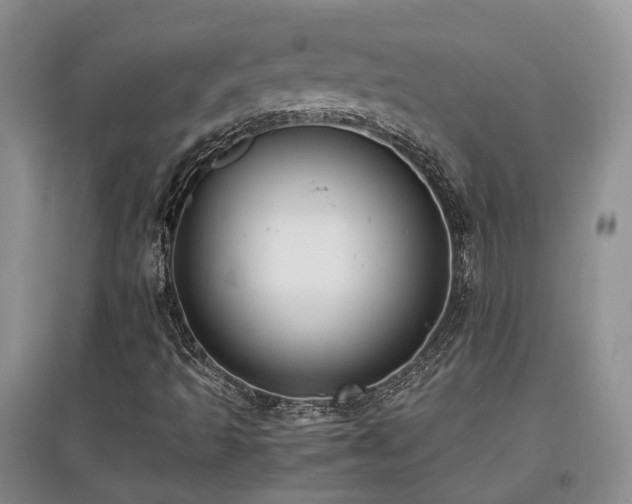 X0000097921493200803141429