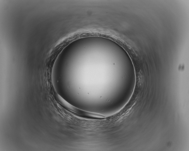 X0000097921494200803141429