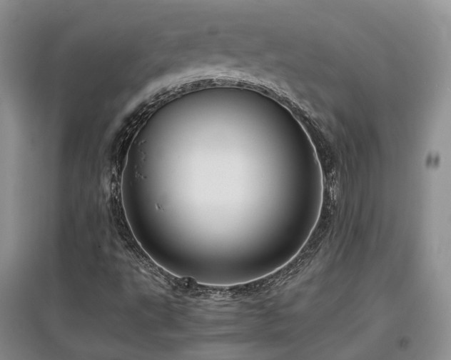X0000097921495200803141429