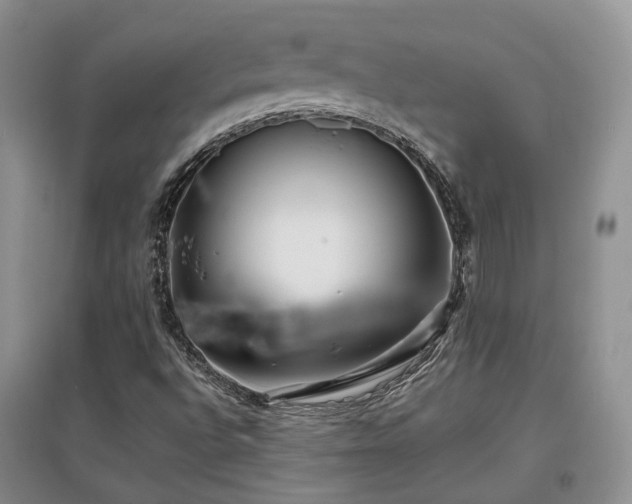 X0000097921496200803141429