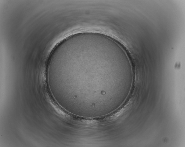 X0000097921498200803141429