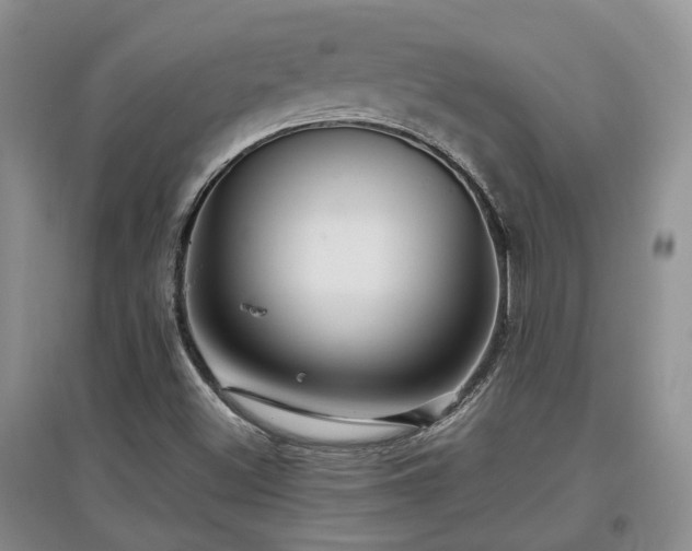 X0000097921500200803141429