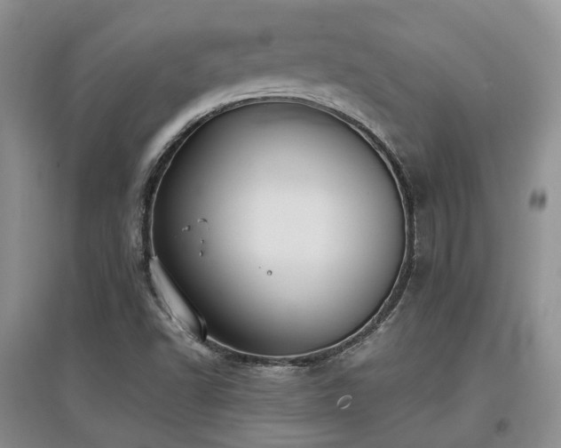 X0000097921502200803141429