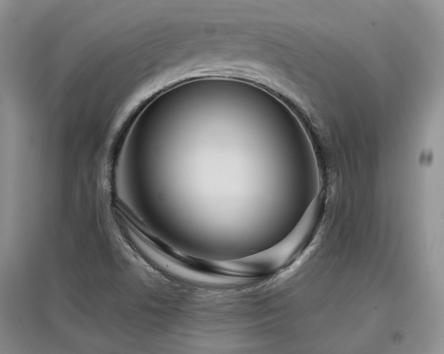 X0000097921506200803141429