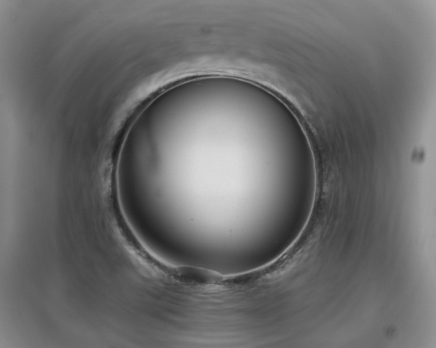 X0000097921507200803141429