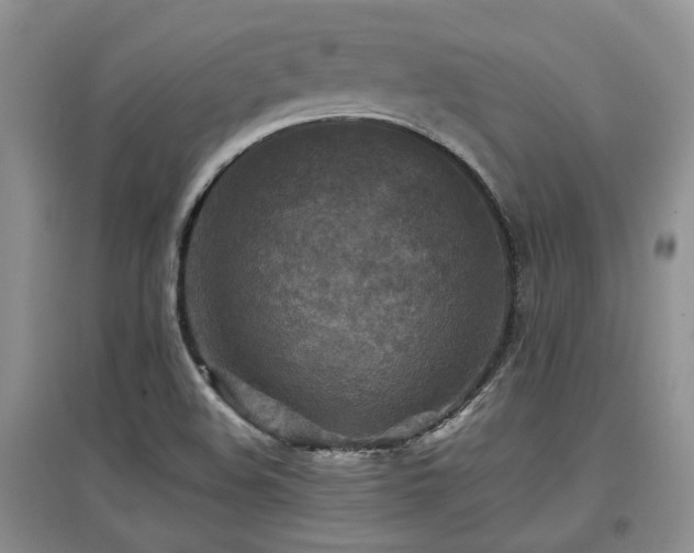 X0000097921508200803141429