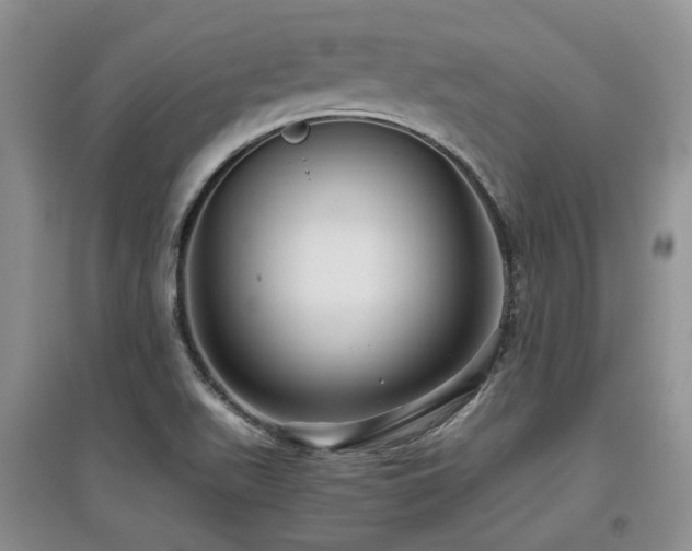 X0000097921511200803141429