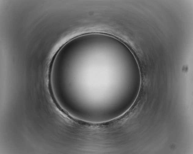 X0000097921512200803141429