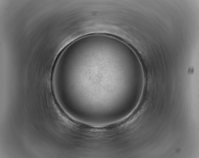X0000097921513200803141429