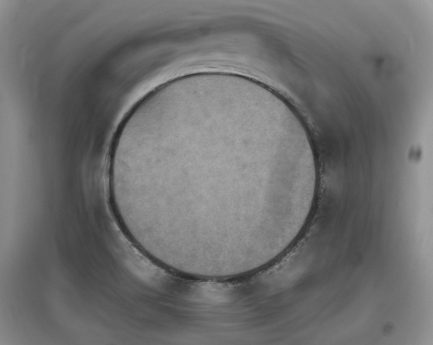 X0000097921514200803141429
