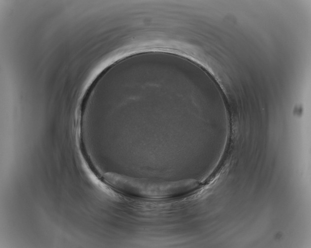 X0000097921515200803141429