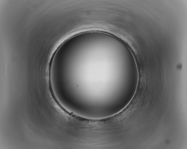 X0000097921516200803141429