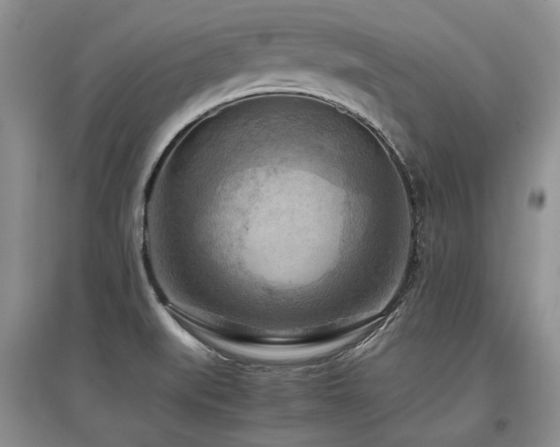 X0000097921519200803141429