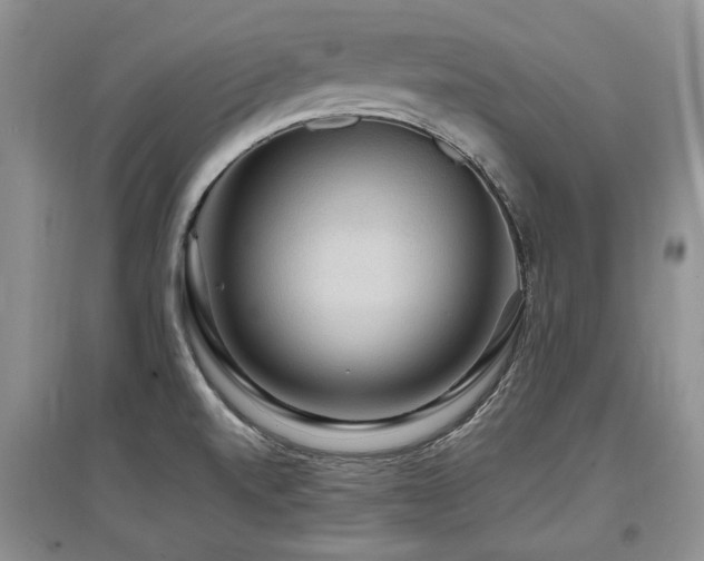 X0000097921520200803141429