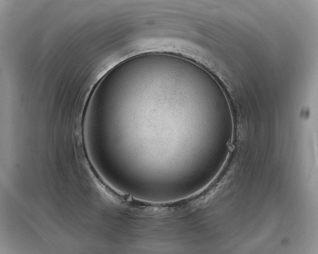 X0000097921521200803141429