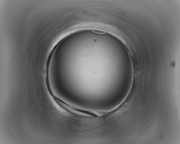 X0000097921523200803141429