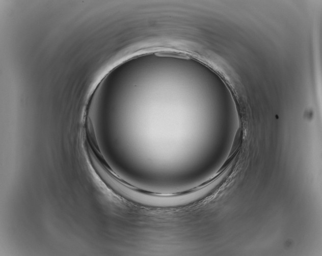 X0000097921524200803141429