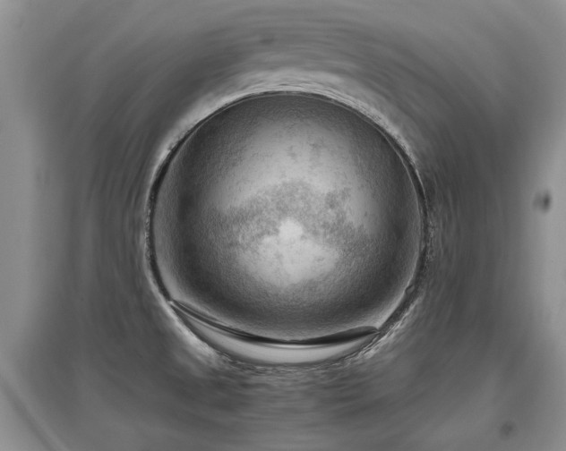 X0000097921525200803141429