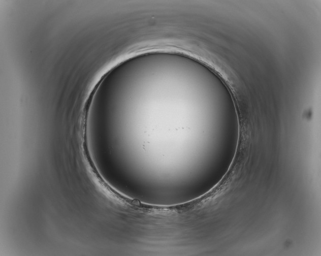 X0000097921526200803141429