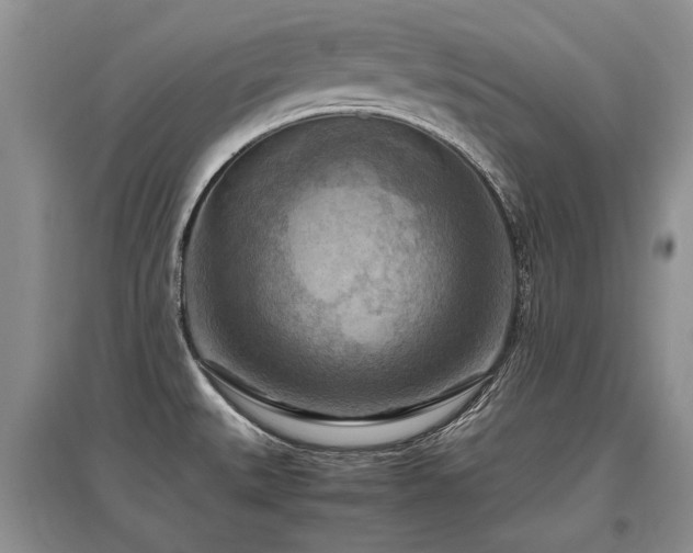 X0000097921527200803141429