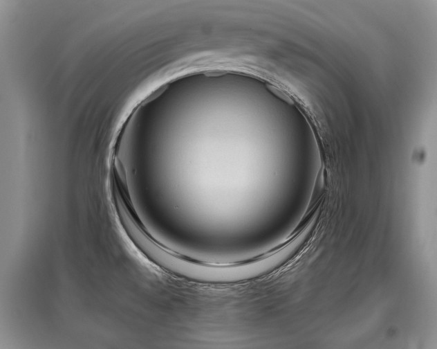 X0000097921528200803141429