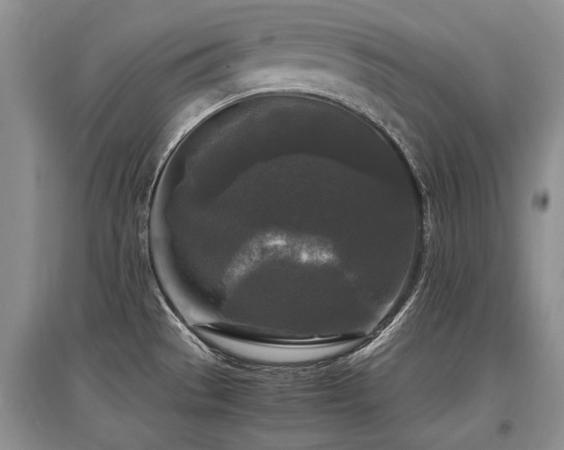 X0000097921529200803141429