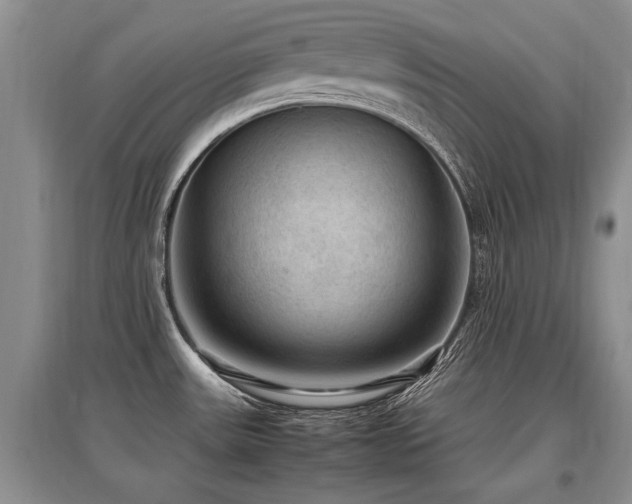 X0000097921531200803141429