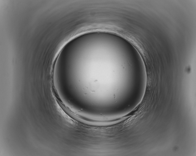 X0000097921532200803141429