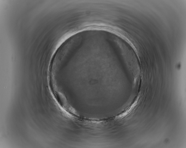 X0000097921533200803141429