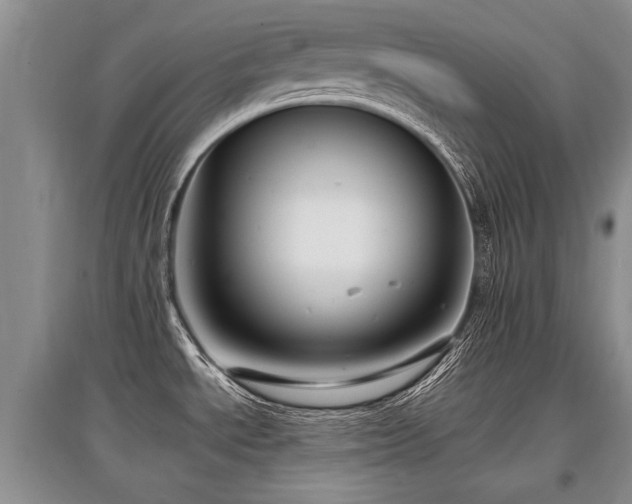 X0000097921534200803141429