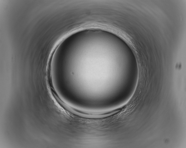 X0000097921536200803141429